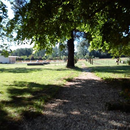 Domaine De Rochegude Villa Avignon Buitenkant foto